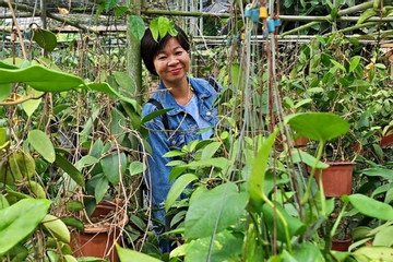 Người phụ nữ sở hữu khu vườn quý, được đặt tên cho loài hoa đặc hữu của Phú Quốc
