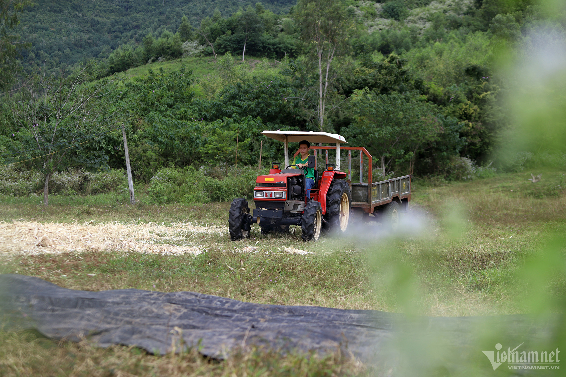 View - Tái sinh vùng đất khô cằn dưới chân núi Phượng Hoàng thành hệ sinh thái xanh