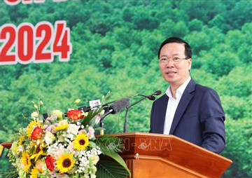 Chủ tịch nước dự Lễ phát động Tết trồng cây 'Đời đời nhớ ơn Bác Hồ'