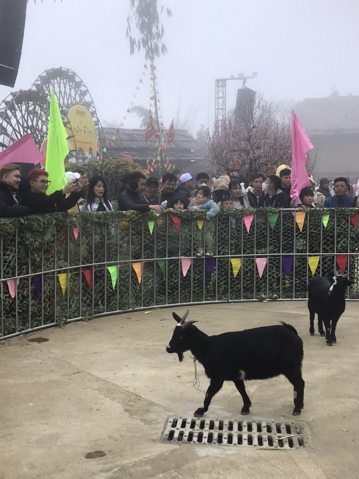 foreign tourists eager to discover folk games in sa pa picture 4