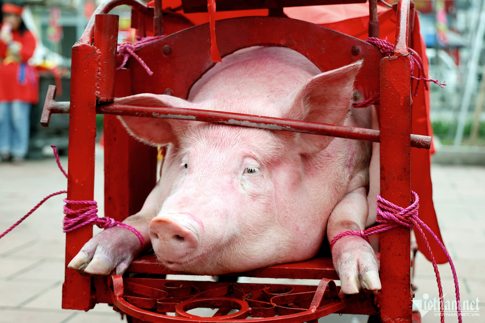 le hoi tung doan 1 1.jpeg