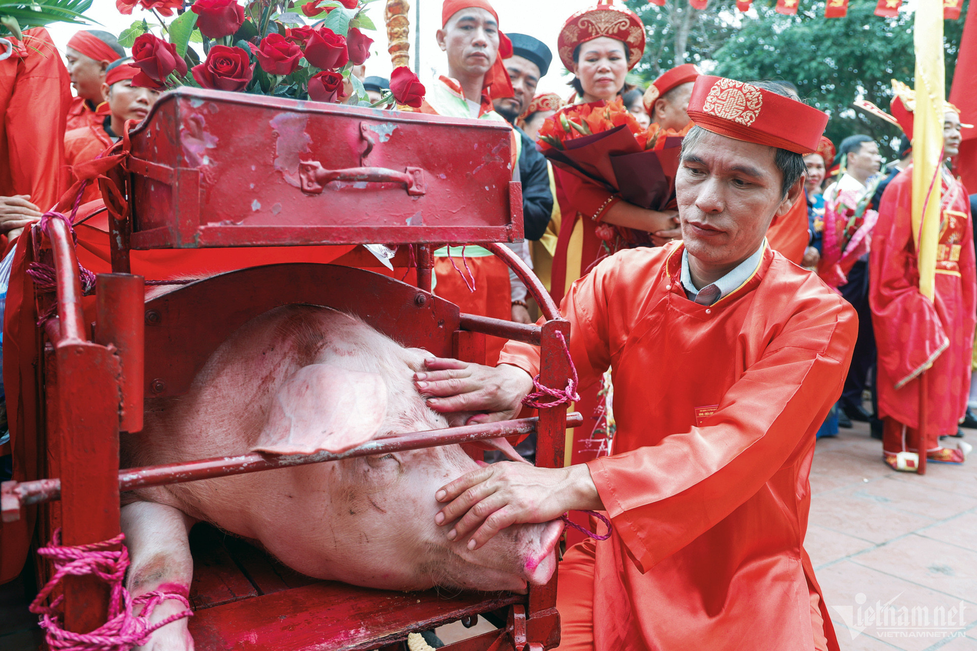 le hoi tung doan 7.jpeg