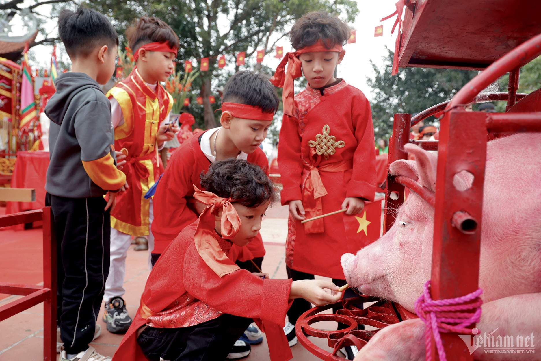 le hoi tung doan 8 1.jpeg