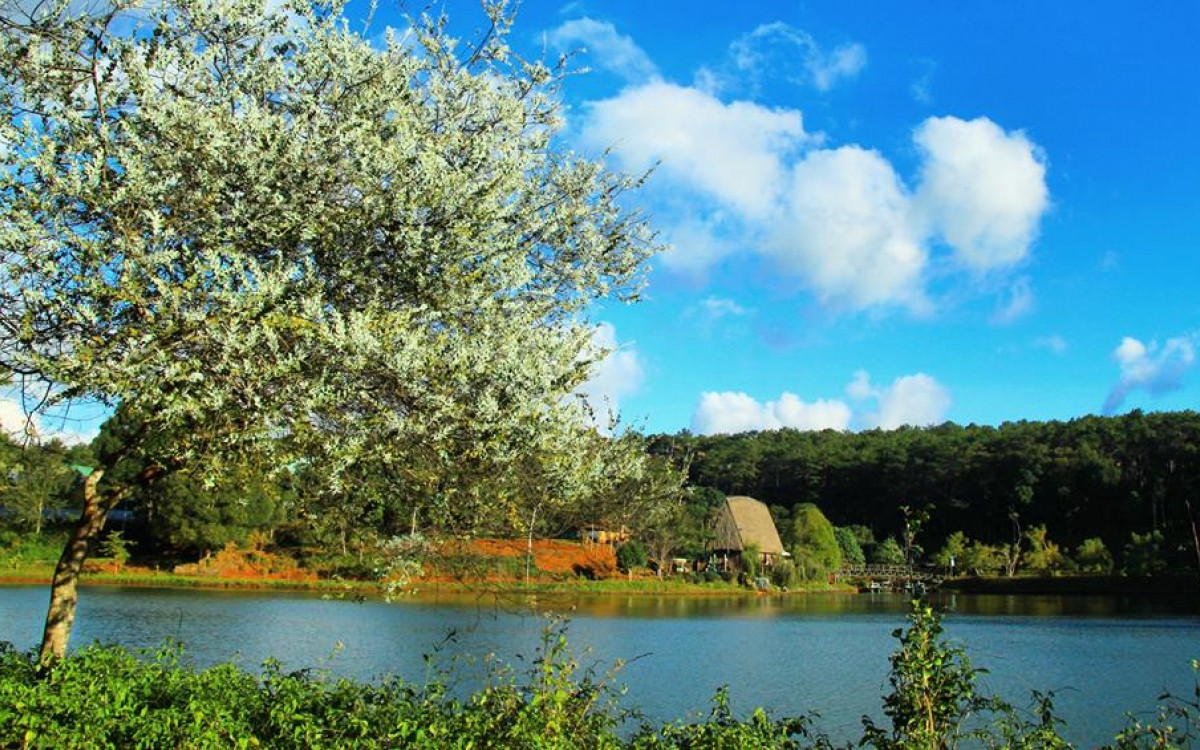 top 10 tourist destinations in central vietnam picture 4