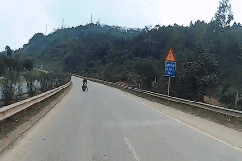 Bản tin cuối ngày 15/2: Xử phạt nhiều tài xế đi xe máy vào cao tốc Nội Bài