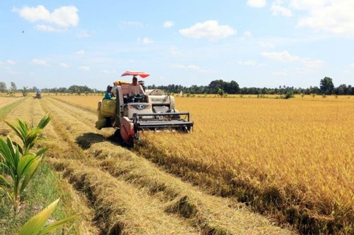 Vietnam promotes rice brand to gain firm foothold in European market