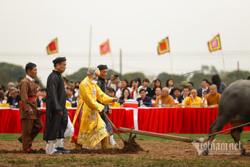 'Vua đi cày' trong Lễ hội Tịch Điền đầu năm