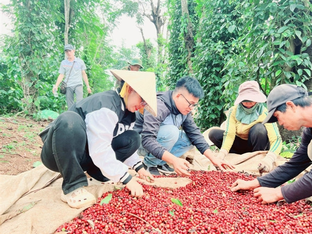 Ethnic man with desire to bring Vietnamese coffee products to the world