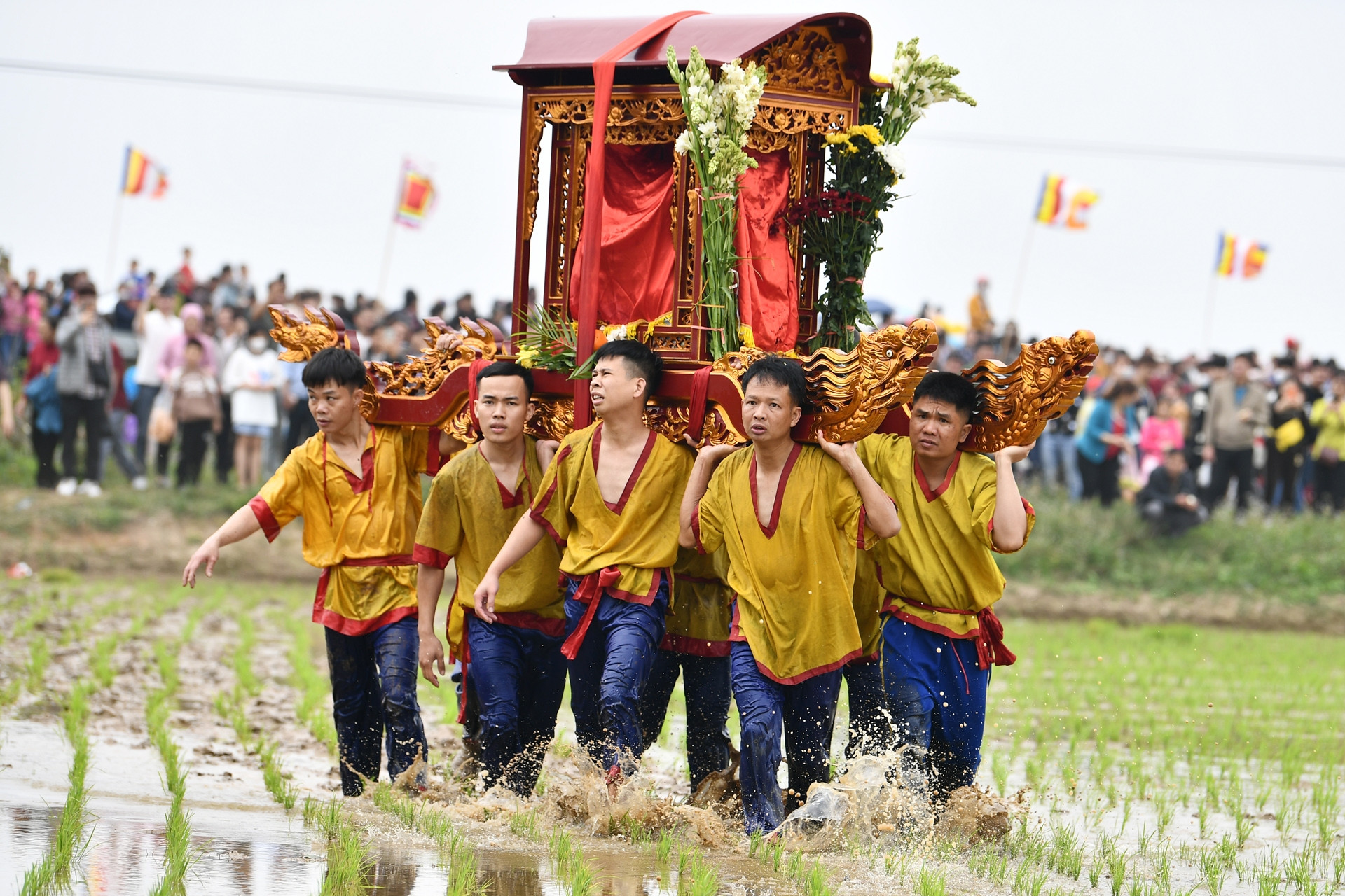 Kỳ lạ hội rước kiệu lội ao, giẫm nát ruộng mạ đầu năm mới