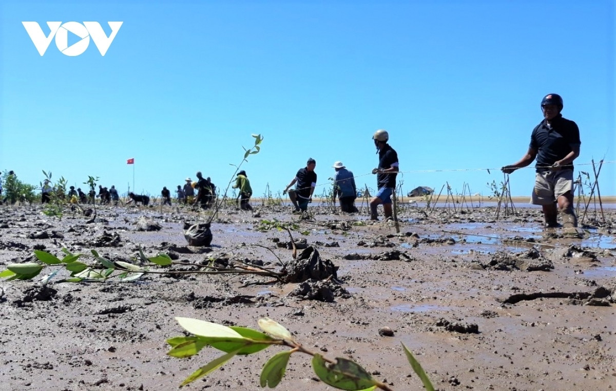 what will vietnam do to meet net zero emissions commitment picture 2