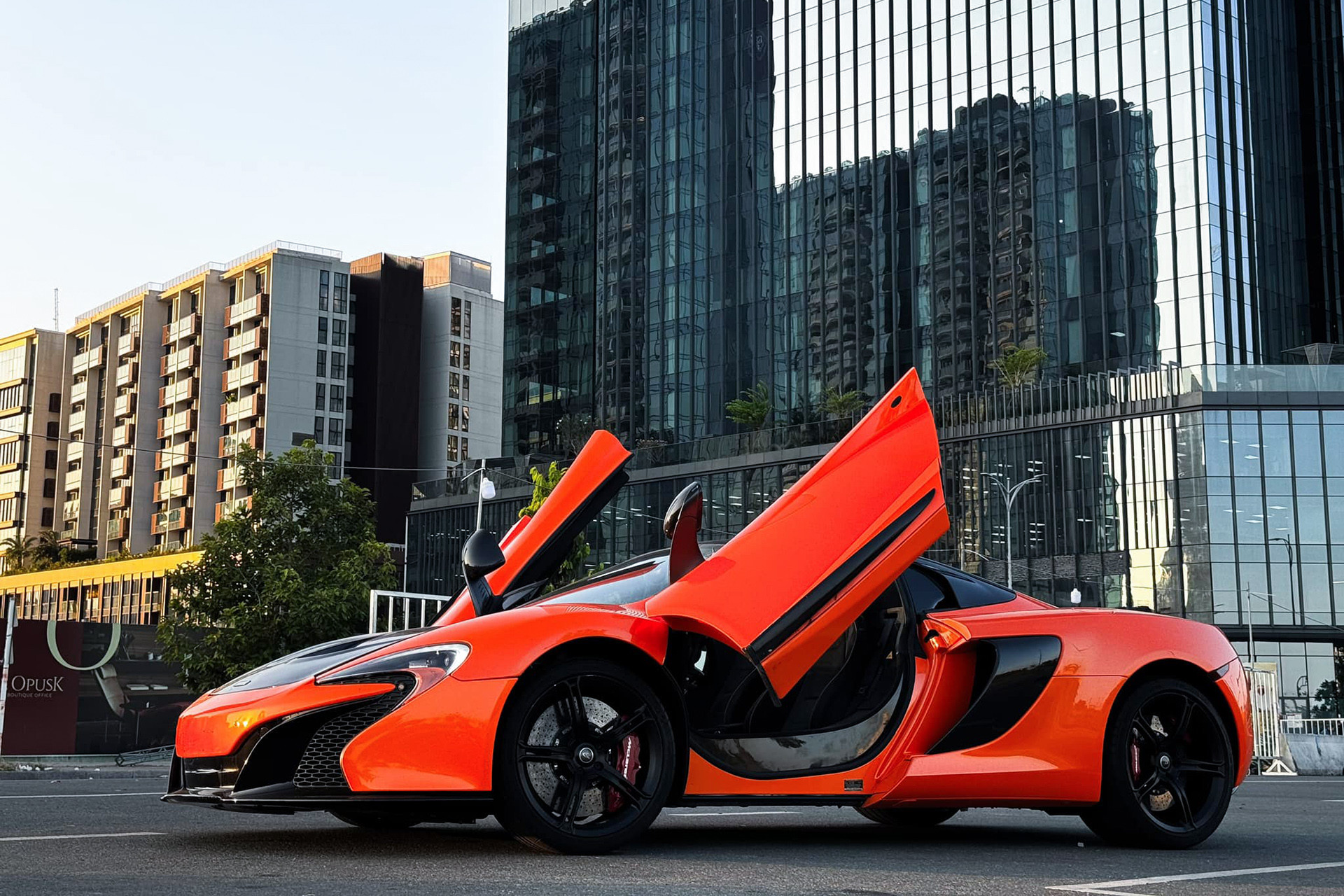 650s spider 4.jpg