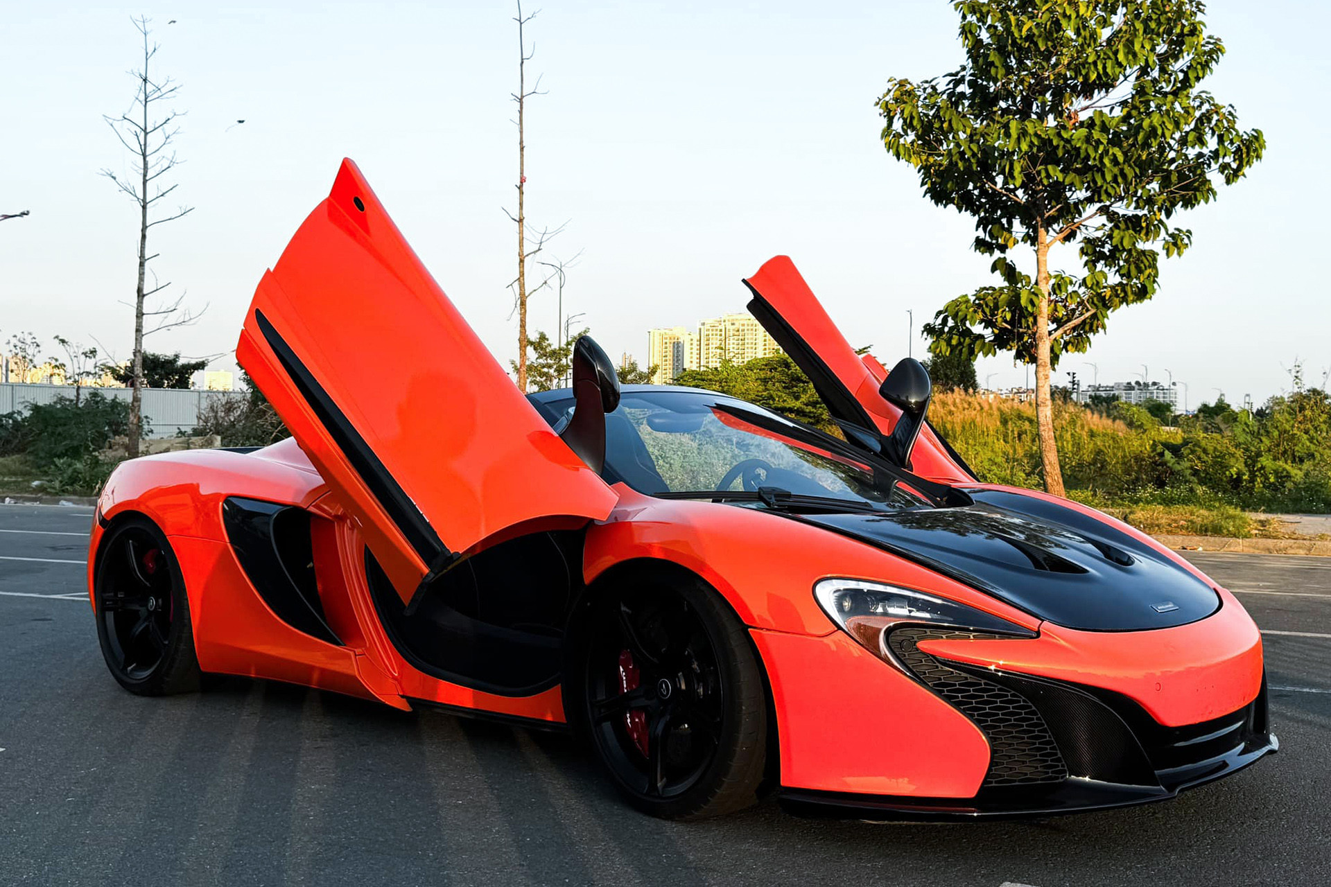 650s spider 8.jpg