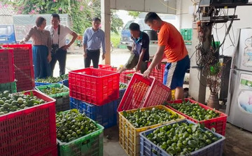 Tuyên Quang: Mô hình thương mại hai chiều thúc đẩy tiêu thụ sản phẩm vùng DTTS