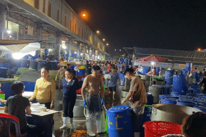 Chợ cá lóc lớn nhất TP.HCM nhộn nhịp ngày vía Thần Tài