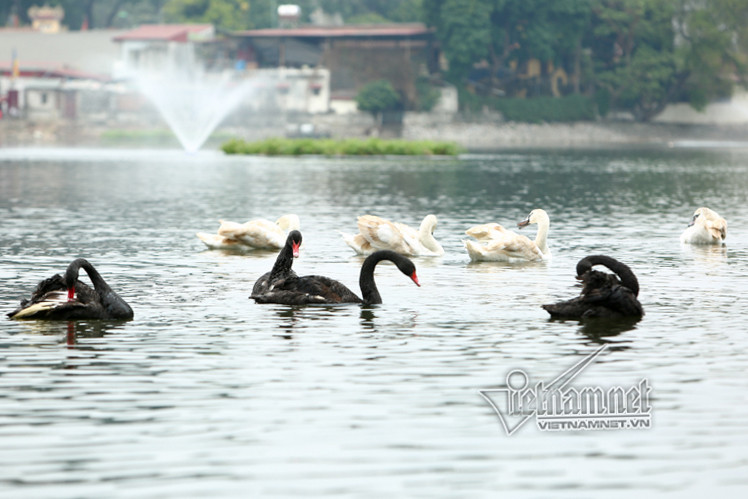 ho thien quang 189.jpeg