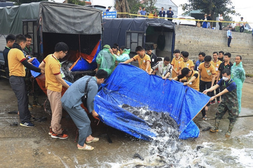 Hơn 7 tấn cá được phóng sinh xuống sông Cầu ở Bắc Giang
