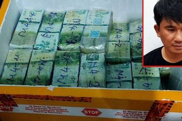 Major drug trafficking ring busted in Binh Duong as 64kg of drugs seized