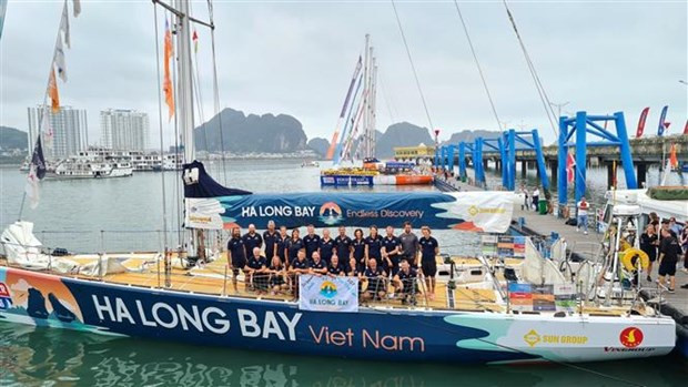 Vietnamese team ranks fifth in Clipper Round World Yacht Race hinh anh 1