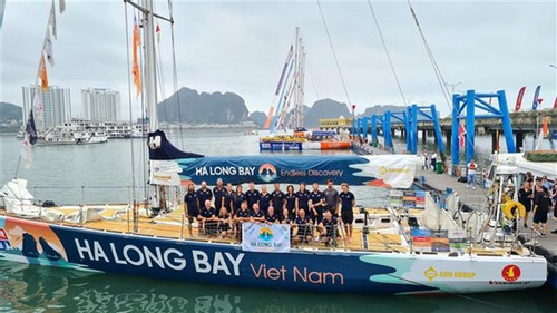 Vietnamese team ranks fifth in Clipper Round World Yacht Race