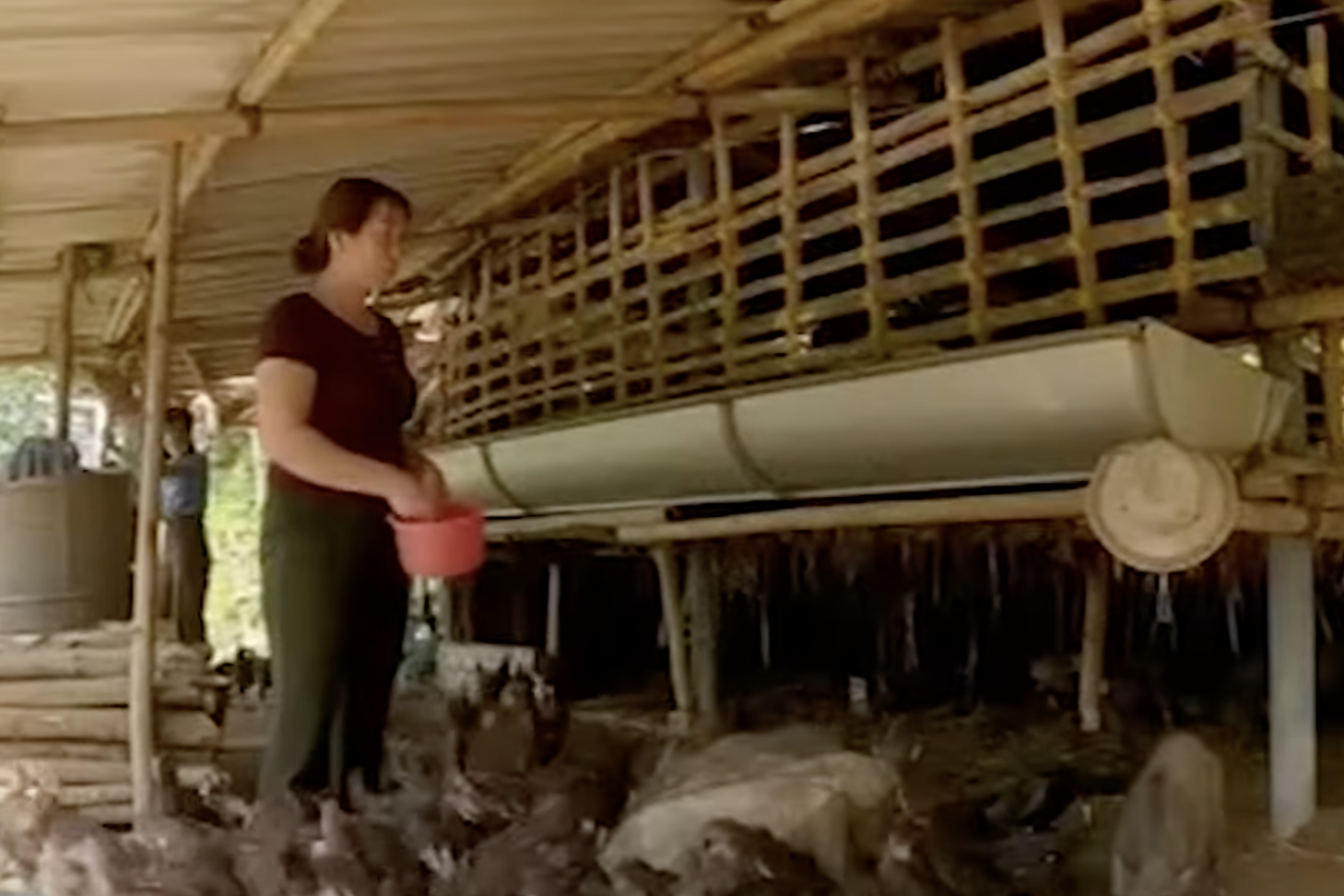 Vùng dân tộc thiểu số và miền núi Quảng Ngãi giảm nghèo nhanh, bền vững