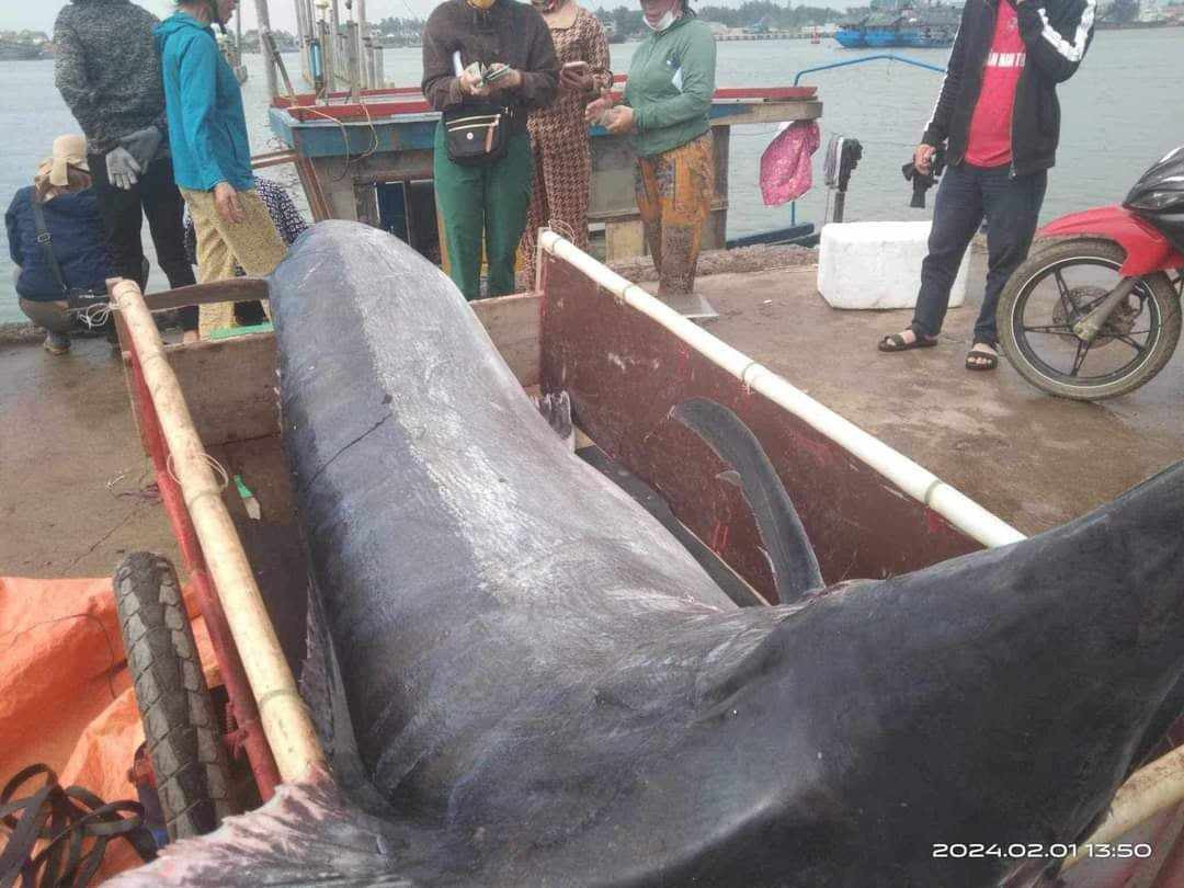 2808d1b1 f596 4445 9ab4 d0ccc73d99d8.jpeg