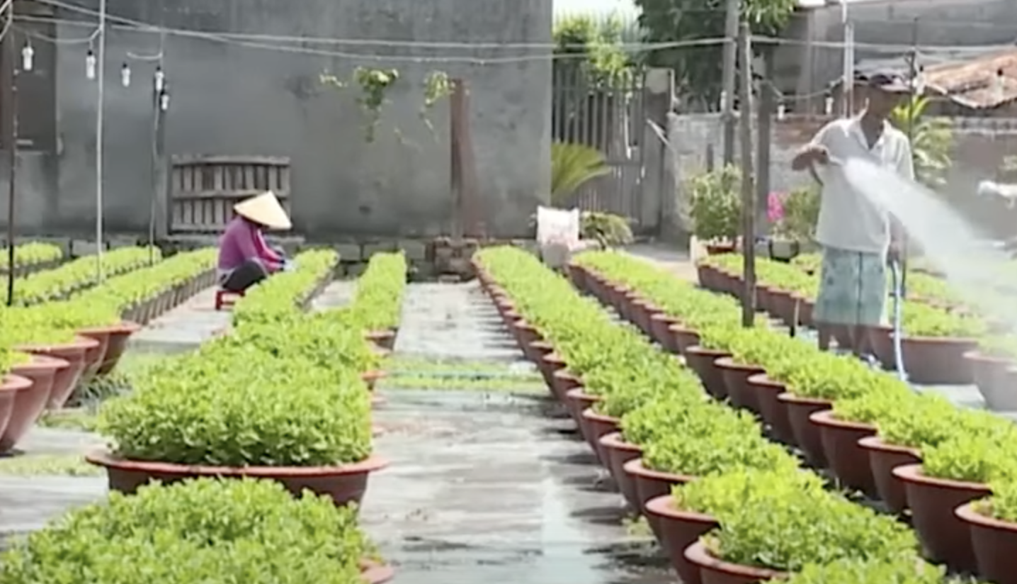 anh man hinh 2023 12 12 luc 103405.png