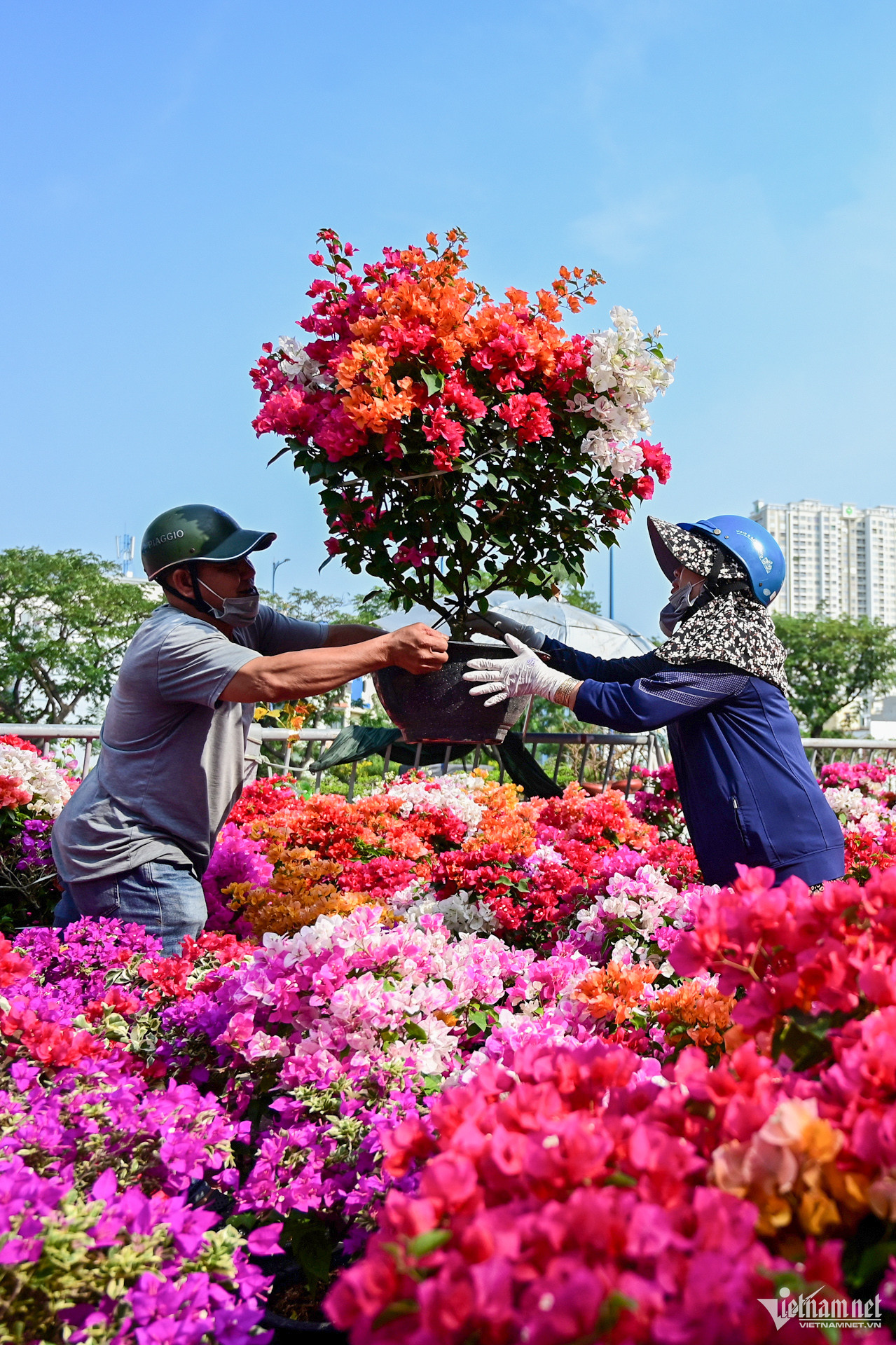 bến Bình Đông.jpeg