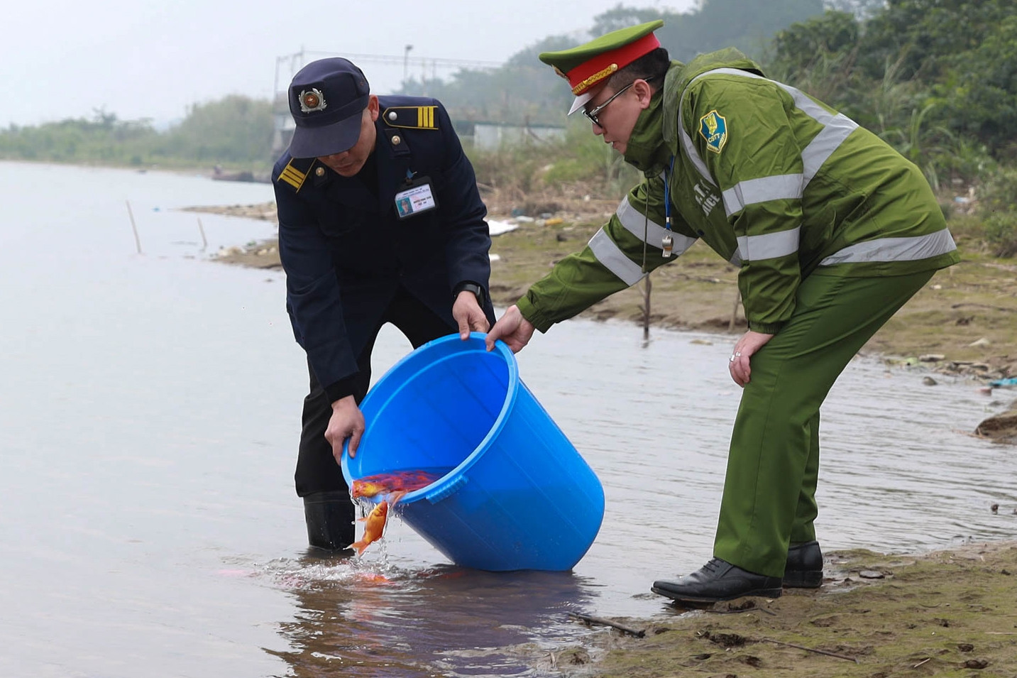 Công an dùng ô tô chuyển cá chép đi thả giúp dân