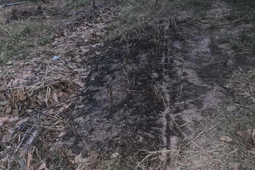 Công an vào cuộc tìm nguyên nhân mặt đất bốc cháy kỳ lạ ở Đắk Lắk