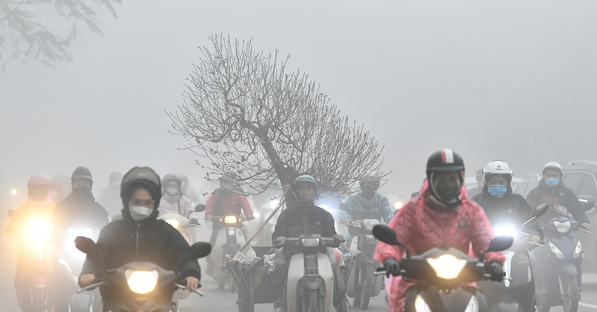 Hanoi covered by fog this morning