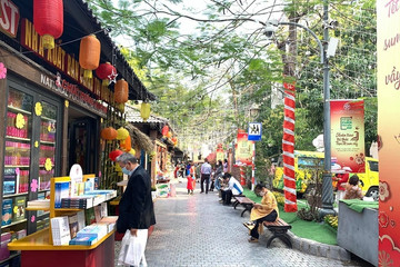 Spring book street in Hanoi to open for Tet celebrations