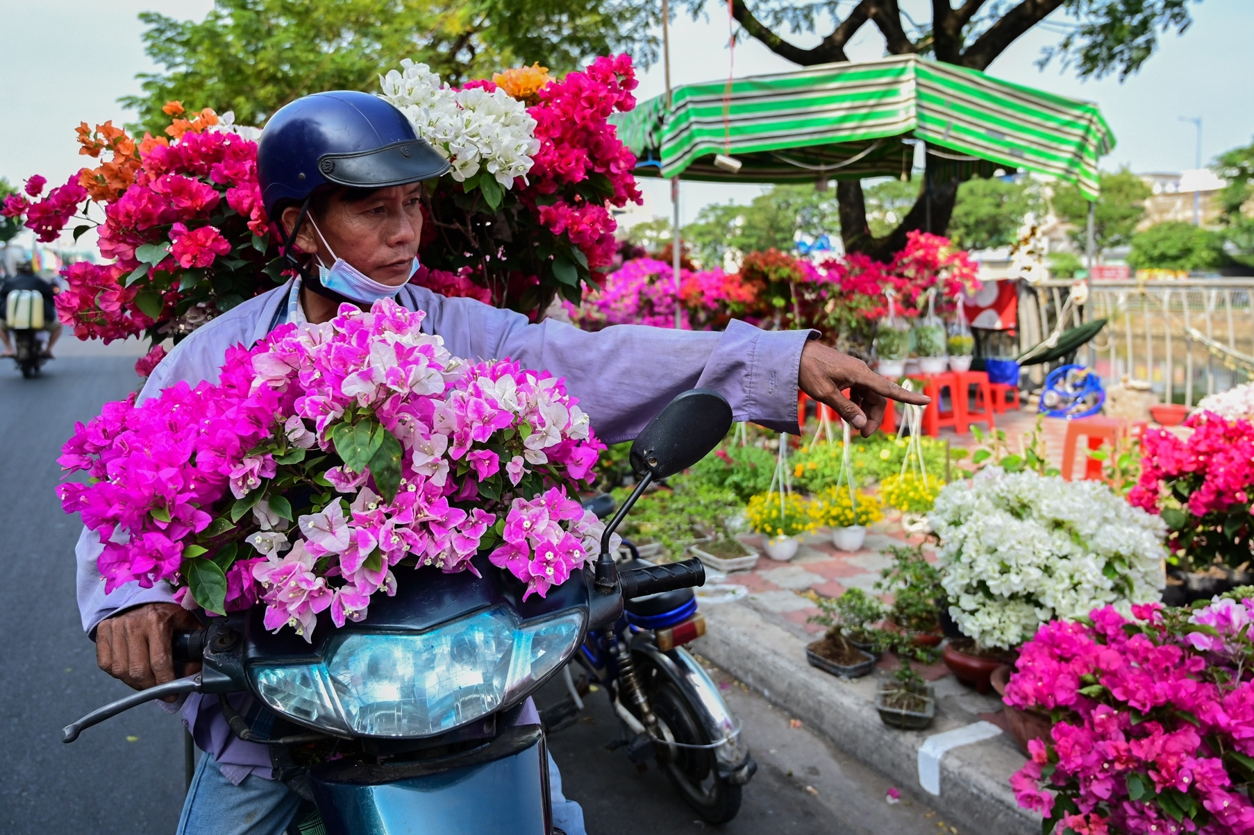 TP.HCM sẽ mua hoa Tết nếu tiểu thương bến Bình Đông bán ế