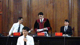 Tuyên án người mẫu Ngọc Trinh