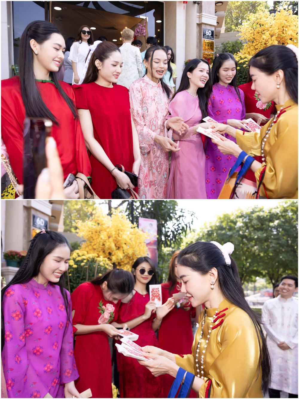 003 sen vang khai xuan.jpg