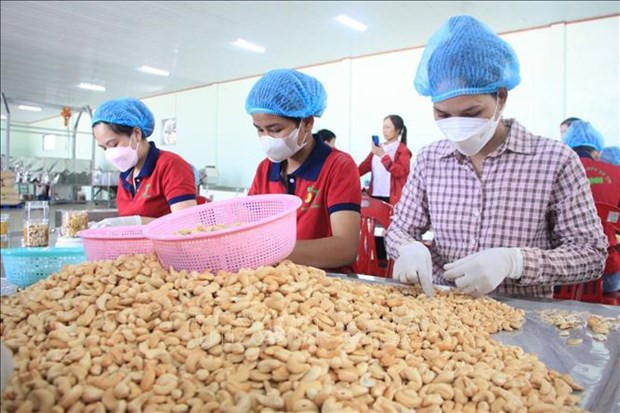 Farm exports expect breakthrough hinh anh 1