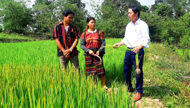 hoi nong dan tinh.jpeg