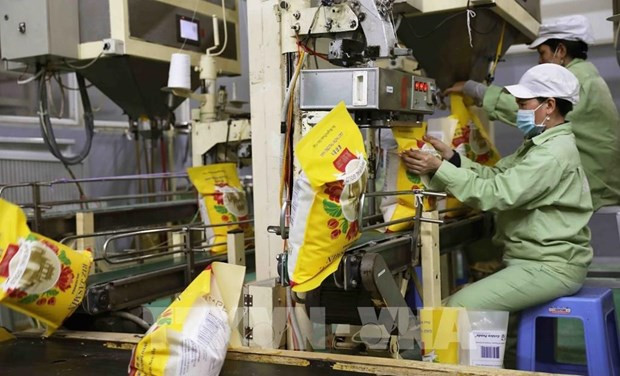 Rice sector works on 5 billion USD export target hinh anh 1