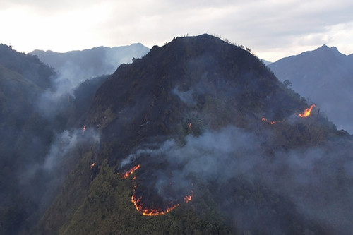 Đã khống chế được cháy rừng ở Lào Cai