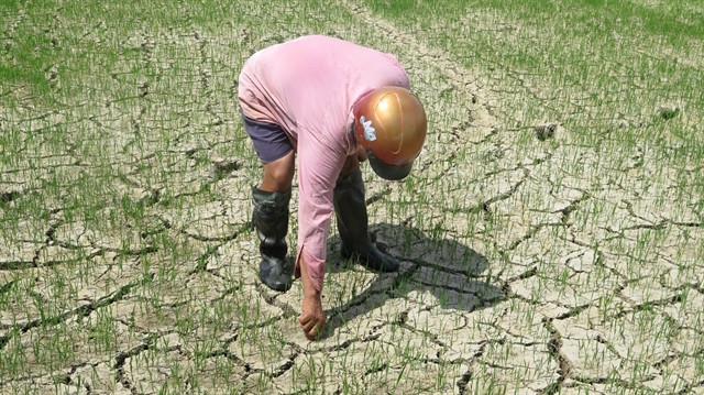 Southern Vietnam to face longer, more intense heat wave due to El Niño