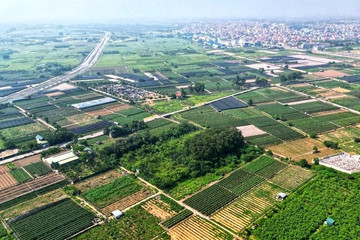 Hưng Yên đấu giá 182 lô đất, khởi điểm cao nhất 85 triệu đồng/m2