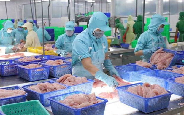 Vietnam's aquatic product exports expected to recover in 2024