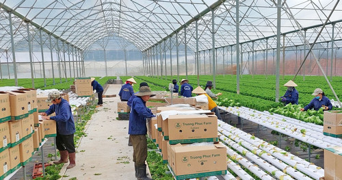 VN export turnover in 2024 expected to increase by over 6 percent