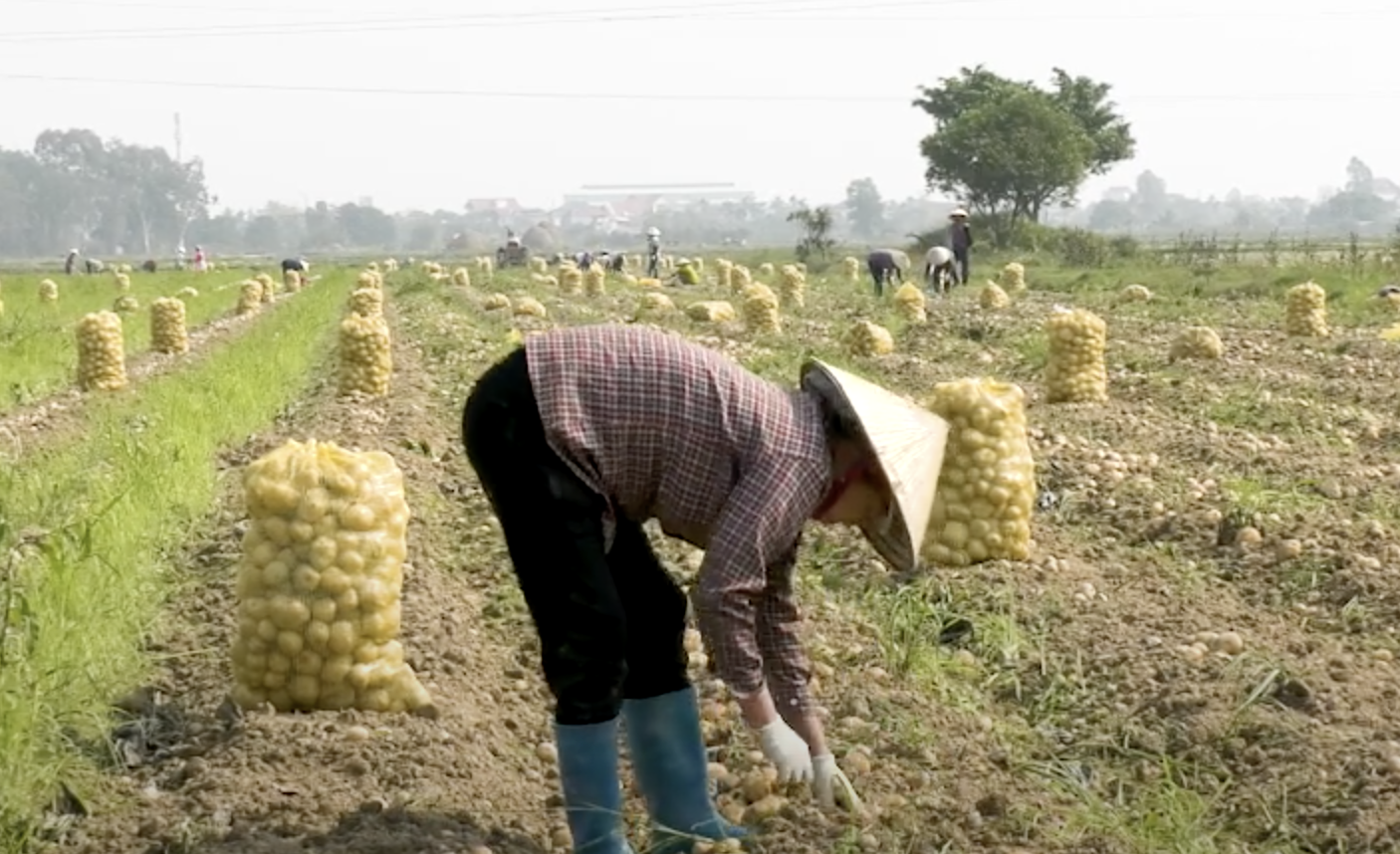 anh man hinh 2024 02 18 luc 075837.png