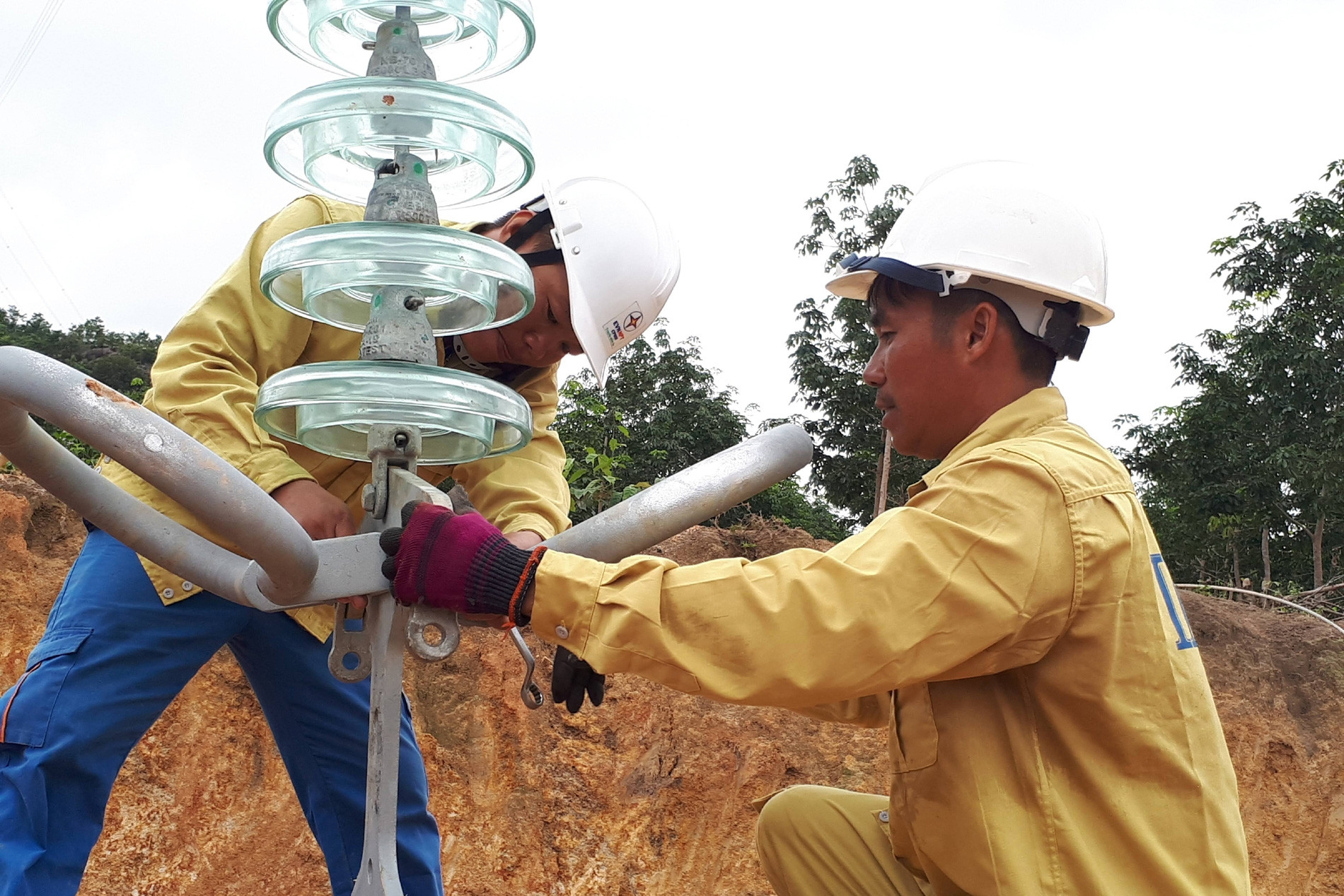 Đường dây 'cứu điện' cho miền Bắc: Báo cáo Chính phủ việc tạm sử dụng rừng