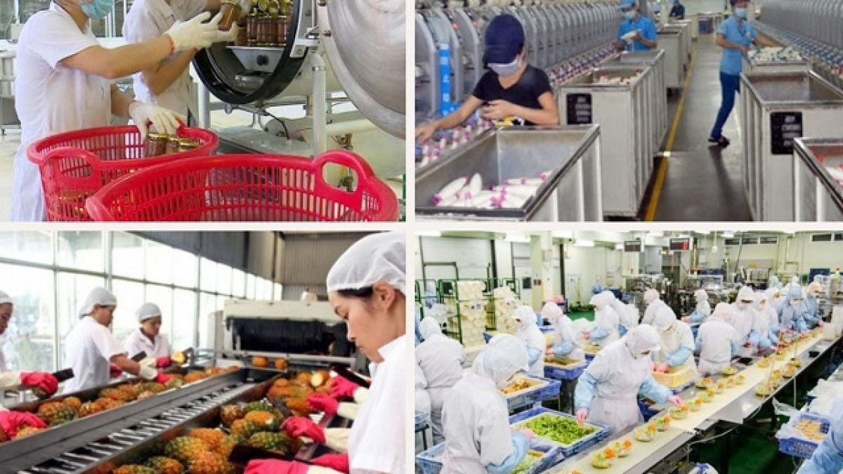 vietnam keen to boost economic and trade links with c5 nations picture 1