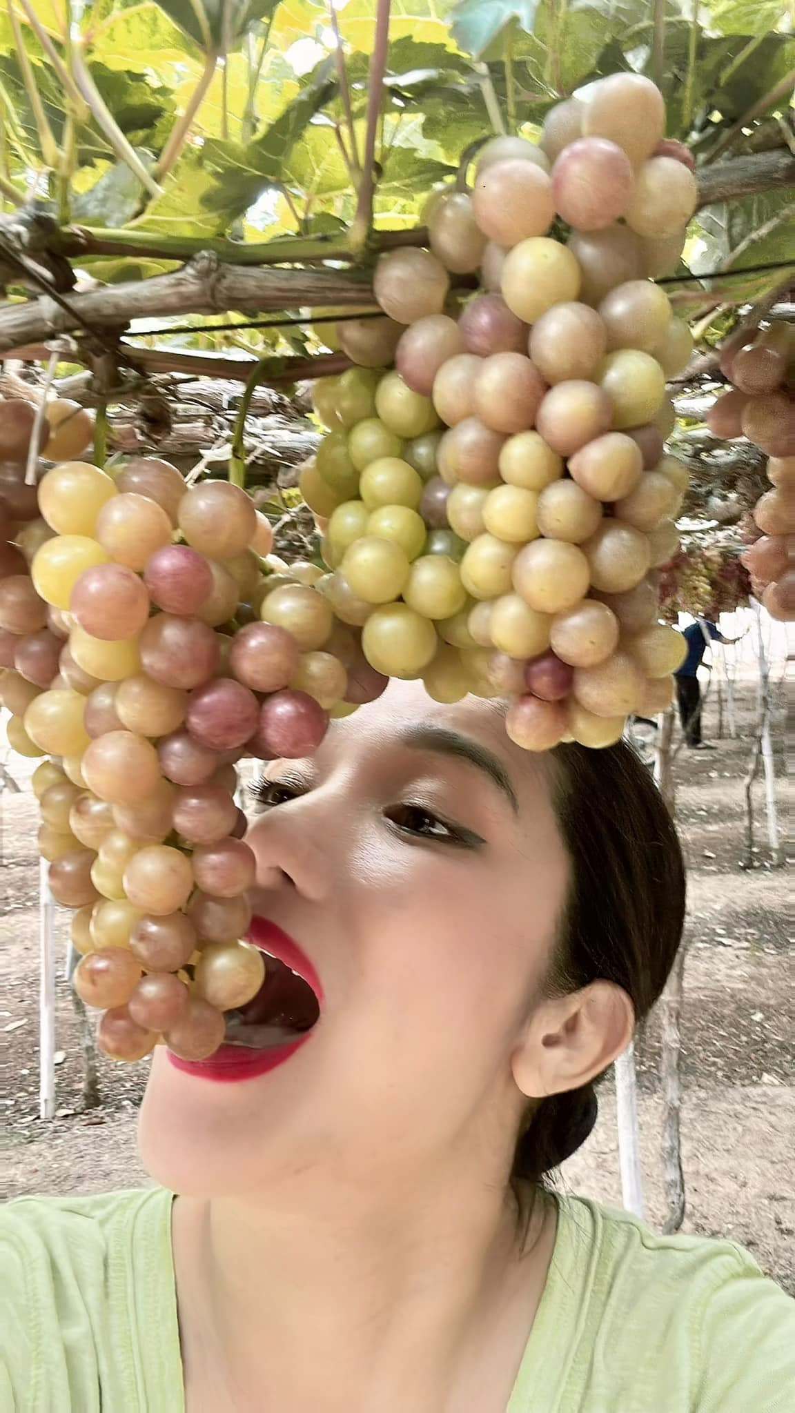 417451260 7330665823666565 4337563601120281308 n.jpg