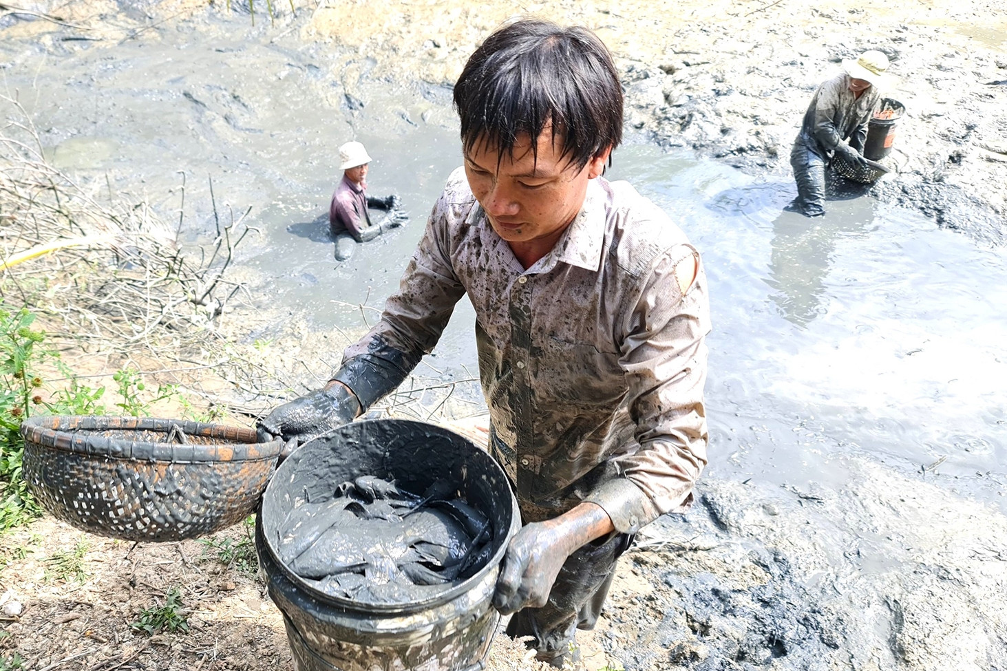 Cả nhà lội bùn bắt cá, nướng trui thơm lừng, nói cười rôm rả