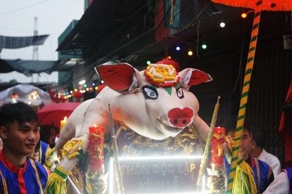 Crowds gather for pig procession festival in Hanoi