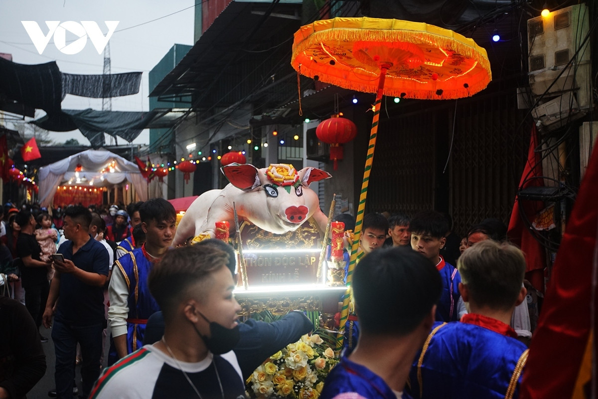 crowds gather for pig procession festival in hanoi picture 3