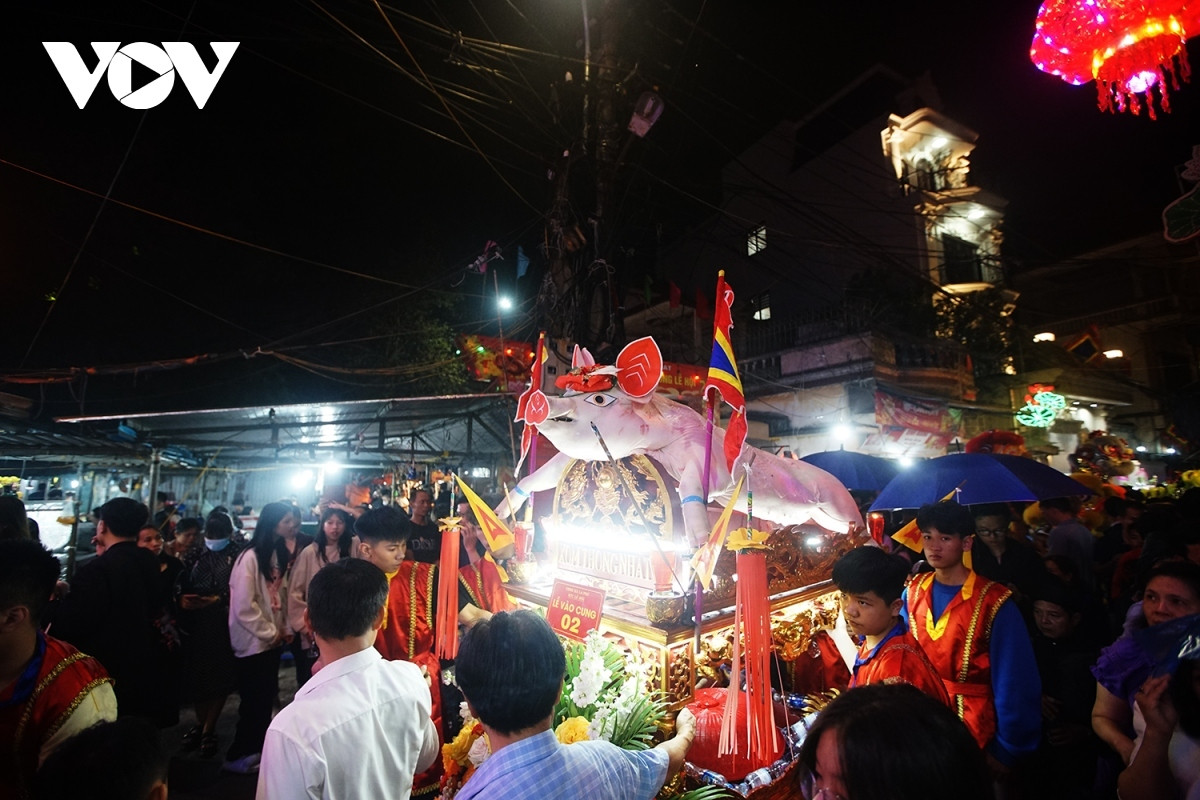 crowds gather for pig procession festival in hanoi picture 7